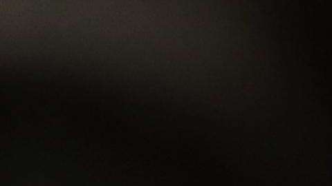 El presidente Trump quiere reducir incluso la inmigración legal.