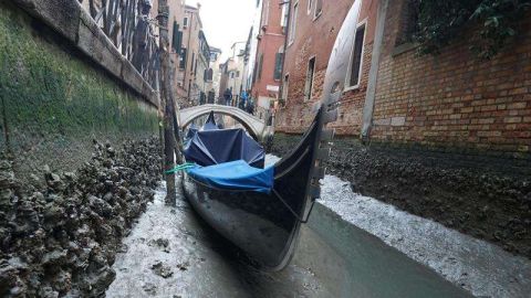 Así lucen las góndolas en Venecia. / EFE