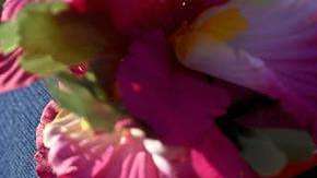 La esquiadora alpina mexicana Sarah Schleper estará en la final de Slalom Gigante de PyeongChang 2018. (Foto: EFE/ Filip Singer)