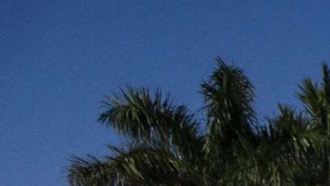 El alguacil suspendió a Peterson luego de ver un video que mostraba su actuación durante la masacre