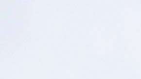 La policía acordonó la zona