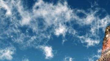 Los dinosaurios se hicieron muy efectivos en poblar cada espacio de la Tierra disponible hasta que no hubo más territorio, dicen los científicos.