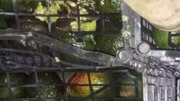 Droga escondida en cargamento de aguacates. Twitter