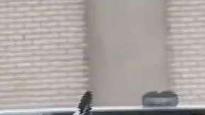 La oficina de ICE en Atlanta también opera en Carolina de Norte y Carolina del Sur.