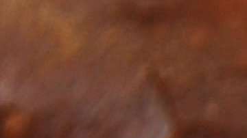 El pan recorre todo el mundo.