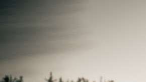 Una buena opción para adquirir.