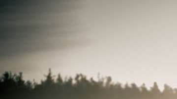 Una buena opción para adquirir.