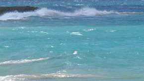 El Caribe fue el primer punto colonizado.