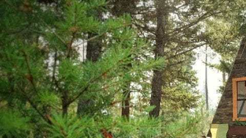 Una cabaña construída con materiales reciclables se convierte en un sueño vacacional.