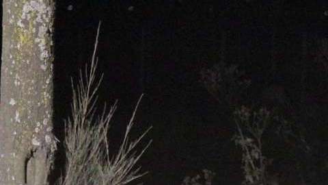 Todos las víctimas tenían menos de 15 años de edad.