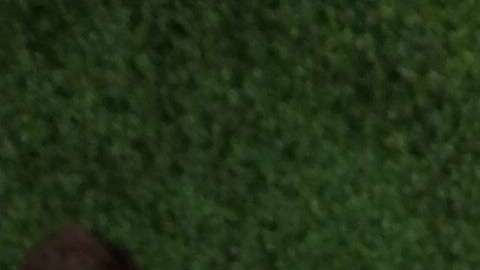 Dascha Polanco en la alfombra roja del NFL Honors con un vestido de Pascal Millet.