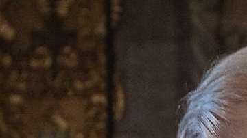 El presidente pidió al DOJ regular los "bomb stock".