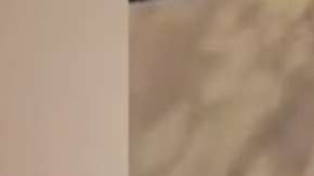 El hecho fue registrado el sábado por la noche.