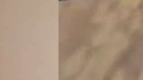 El hecho fue registrado el sábado por la noche.