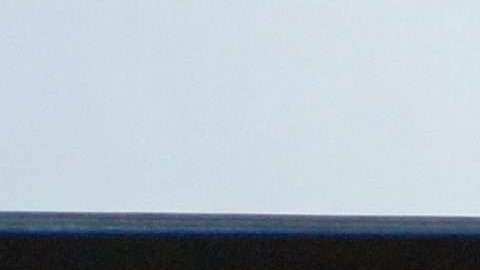 De izq. a dcha: Andrea Kremer, Christine Driessen, Janet Fletcher y Jennifer Storms.