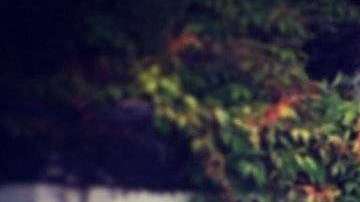 José José con su hija Marysol.