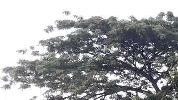 Accidente de tránsito en Ecuador.