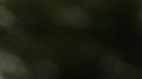 Reince Priebus fue despedido el pasado 28 de julio