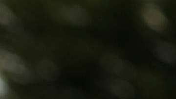 Reince Priebus fue despedido el pasado 28 de julio