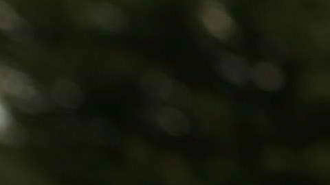 Reince Priebus fue despedido el pasado 28 de julio