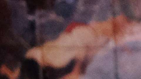 Lena Dunham, actriz y guionista.