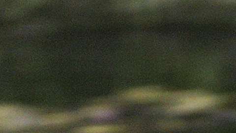 Drones, sensores de tierra y cámaras ocultas brindarán la ayuda a los indocumentados