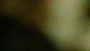 Brad Parscale, estratega digital de Trump en 2016, ahora es su jefe de campaña