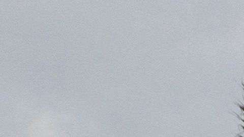 Nuevamente Trump queda al descubierto