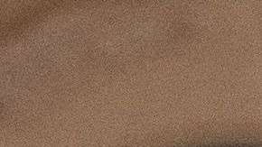 El presidente no tiene memoria