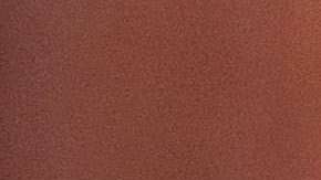 Ivanka Trump también acudirá a algunos eventos deportivos.