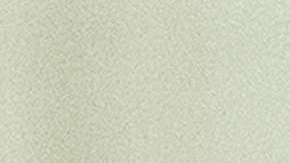 Las normas no se aplicarían a los residentes permanentes que solicitan la ciudadanía