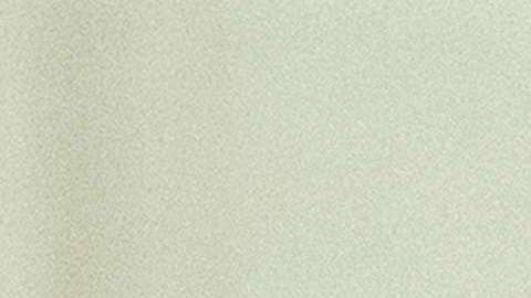 Las normas no se aplicarían a los residentes permanentes que solicitan la ciudadanía