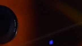 Conor McGregor perderá su título de la UFC por no pelear