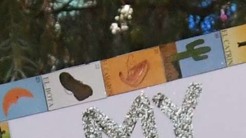 Los "Dreamers" pueden seguir aplicando por la protección que ofrece DACA.