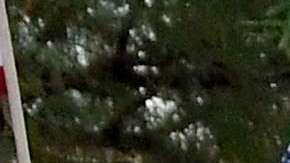 Activistas luchan por la protección de "Dreamers".