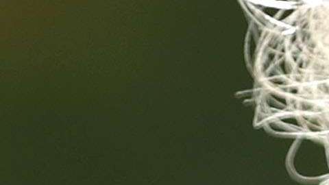 Cuba, China, Irán, Marruecos, Birmania, Vietnam, Laos, Camboya, Eritrea, Guinea y Sudán del Sur y Hong Kong conforman la lista