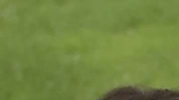 Melania es la menos contenta con esta situación