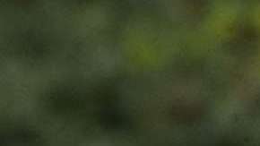 El vicepresidente Pence defiende sus posturas conservadoras