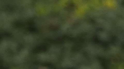 El vicepresidente Pence defiende sus posturas conservadoras