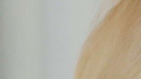 El escándalo sobre Rusia ha impactado a la Administración Trump.