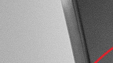 Hicks es directora de Comunicaciones de la Casa Blanca.