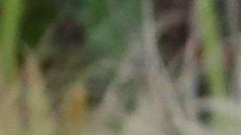 La pareja invitó al ex presidente Barack Obama y a su esposa Michelle