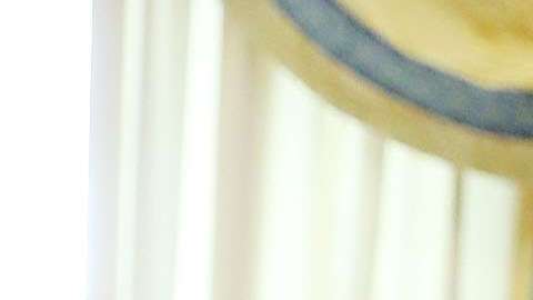 Se reportó que Trump ha estado barajando la idea de un remplazo para Kelly