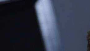 Ryan Seacrest fue acusado de acoso sexual.