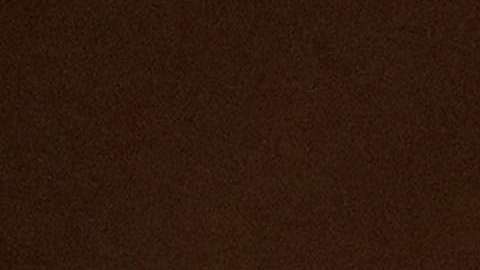 Trump pondrá "un impuesto recíproco" a las importaciones de otros países que se "aprovechan" de EEUU