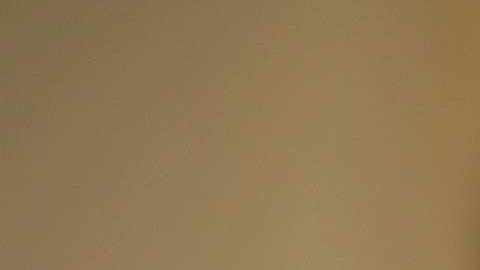 David Shulkin es secretario de Asuntos de Veteranos.