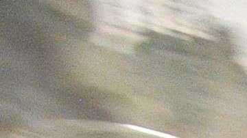 170 científicos políticos ranquearon el gobierno de Trump en el puesto 44