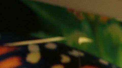 Se han alzado voces a favor y en contra de las armas en los recintos escolares