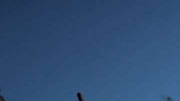 El tiroteo en Florida desata movimiento para controlar armas.