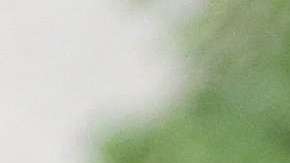 "Mi objetivo es proteger a la parte más valiosa de nuestra sociedad y futuro: los niños", dijo Melania